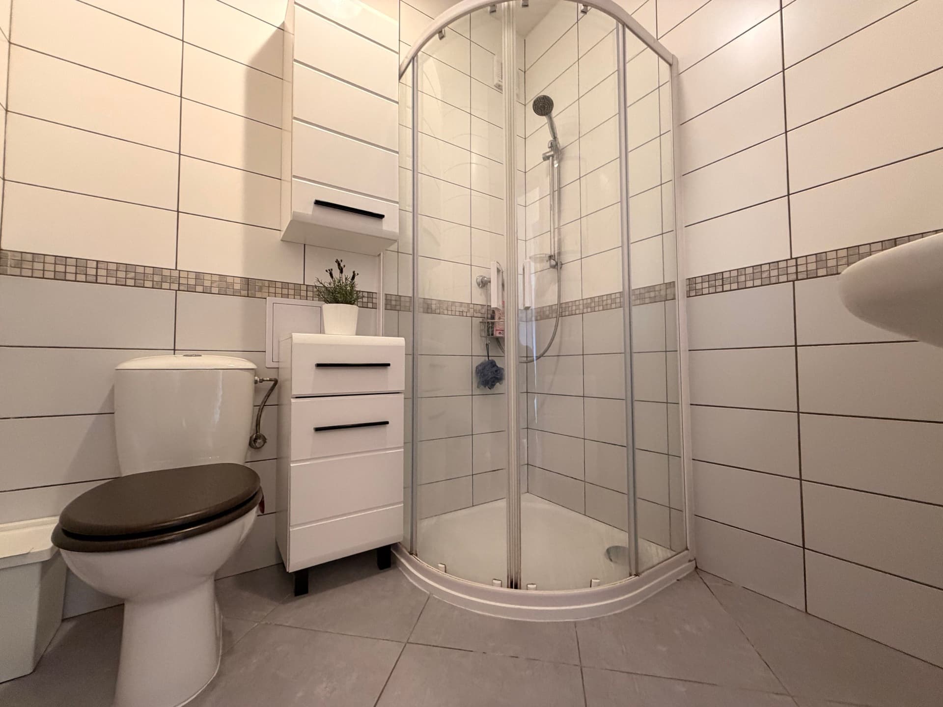Prodej plně obsazeného činžovního domu se zahradou – Plzeň, Slovany (Blatenská ul.) — Plzeň (fotografie 15)