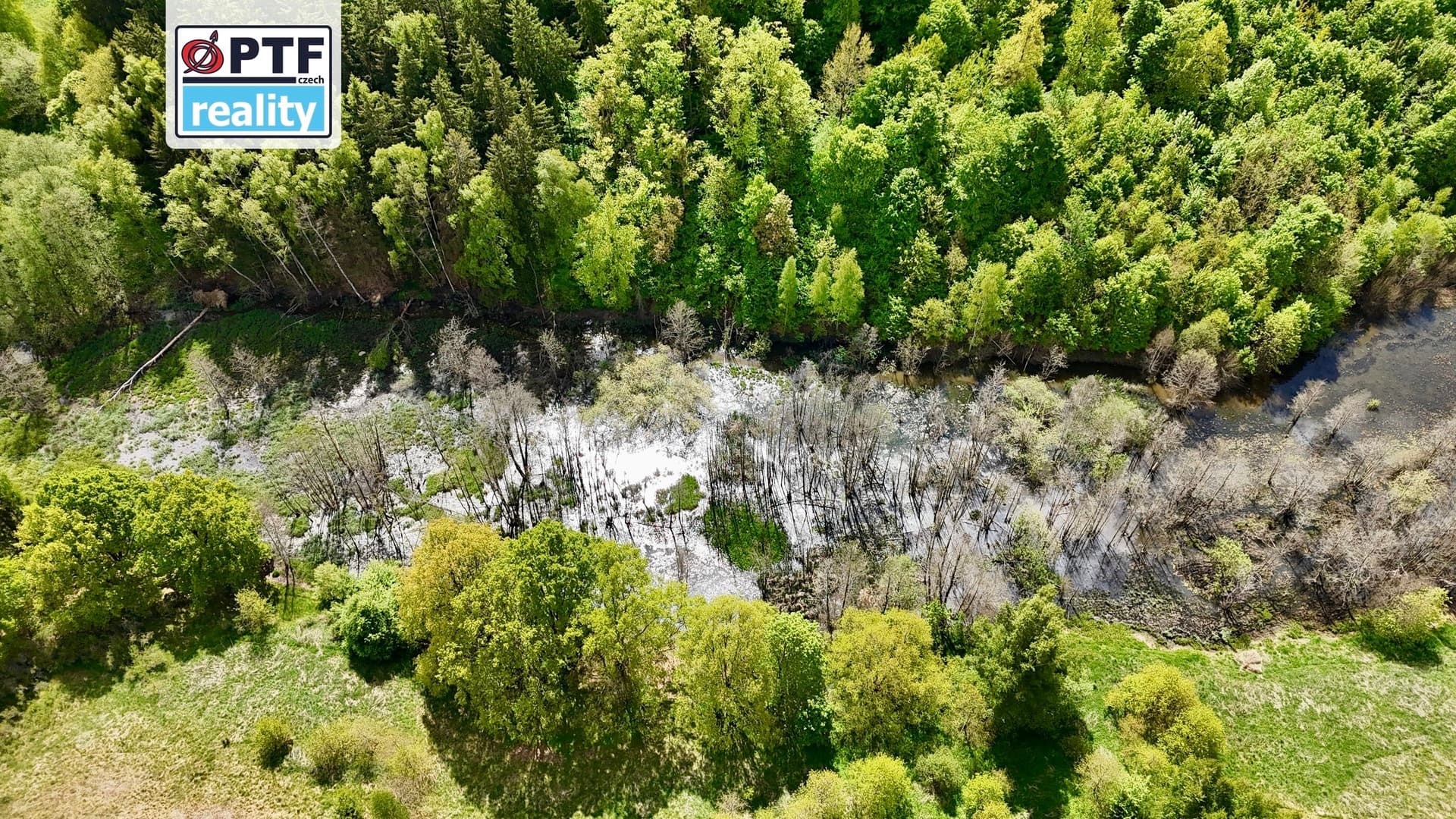 Areál 9,27 ha v Libé u Chebu — Libá (fotografie 16)