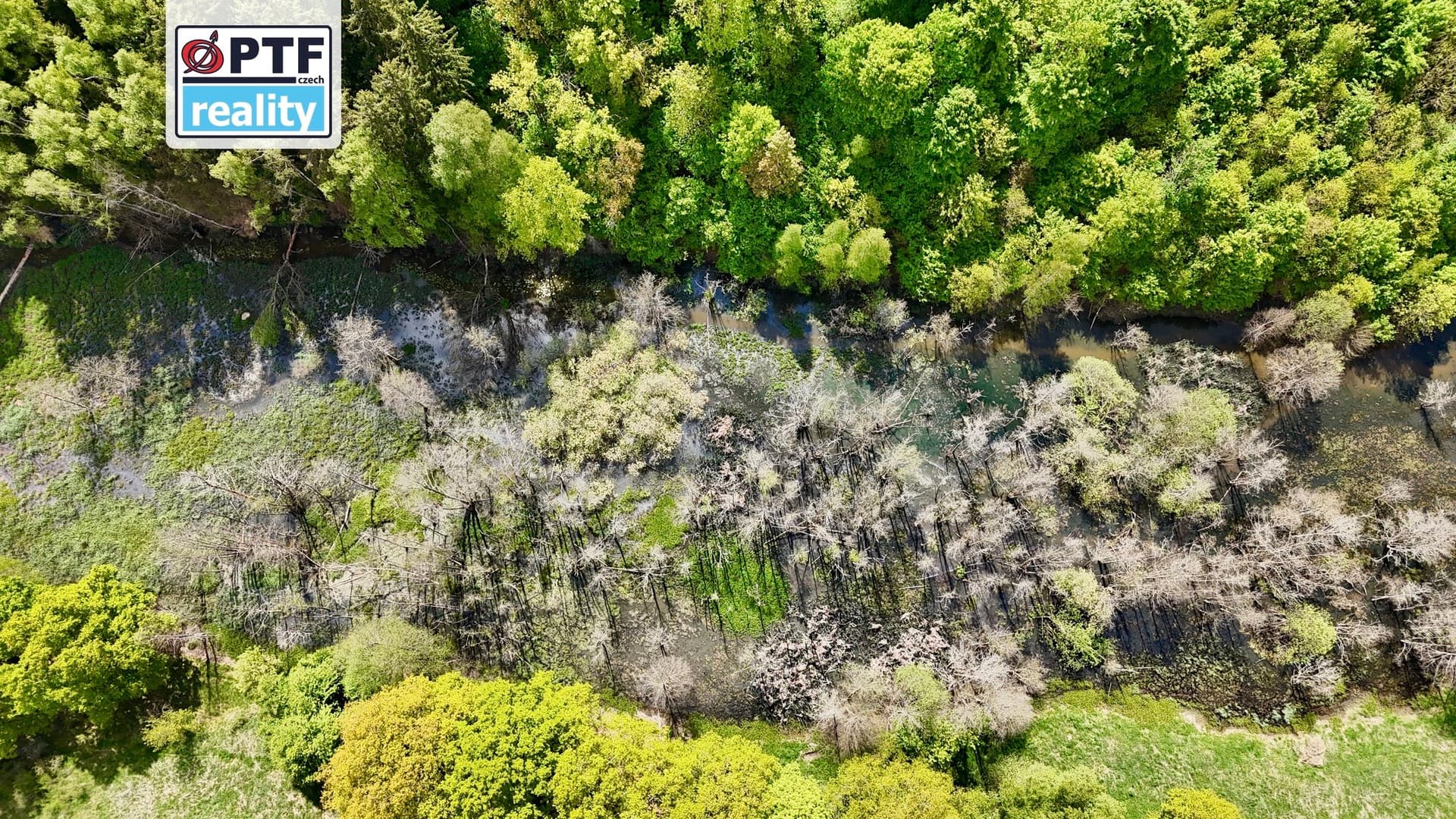 Areál 9,27 ha v Libé u Chebu — Libá (fotografie 17)