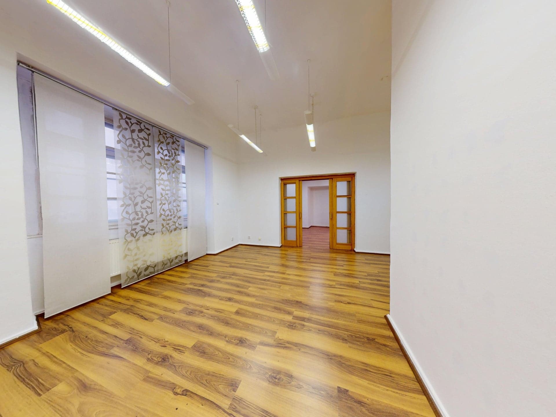 Pronájem reprezentativních prostor k podnikání, 60 m² Plzeň -centrum